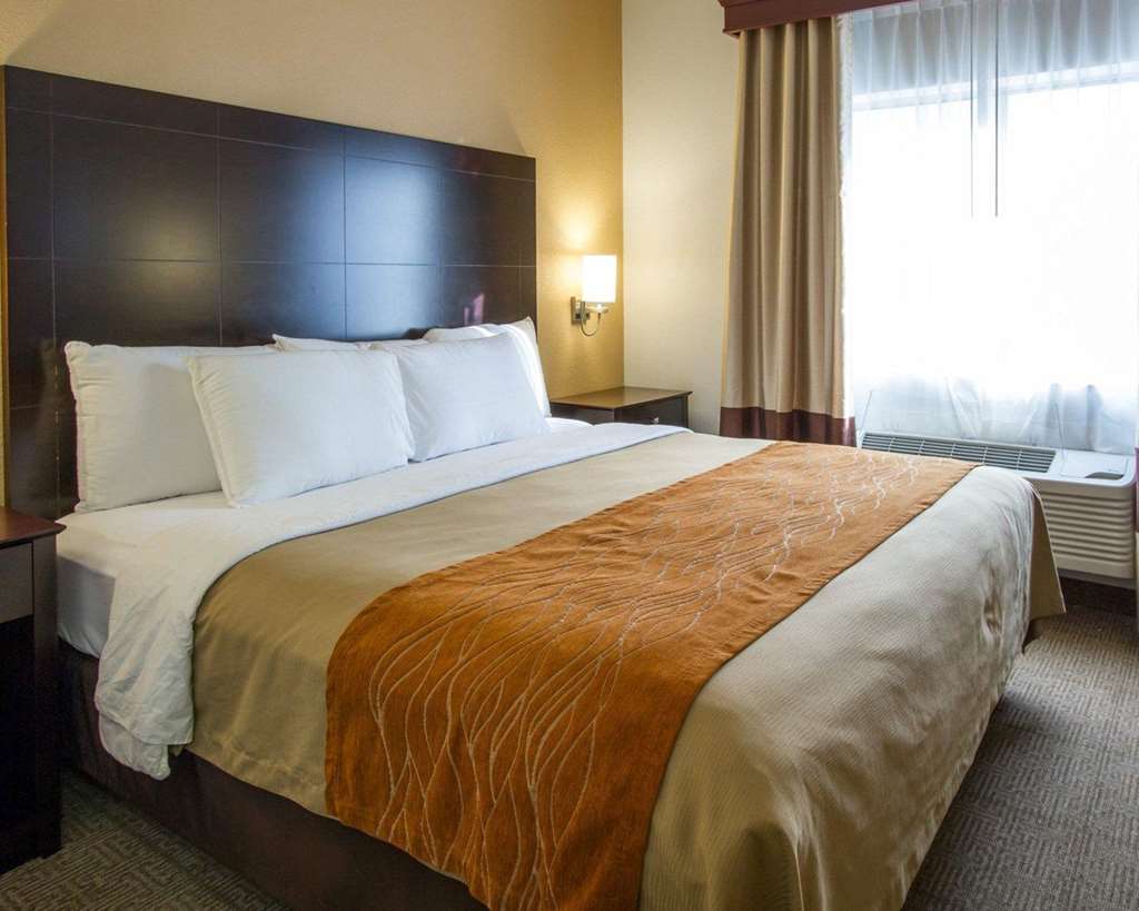 Comfort Inn & Suites Paw Paw Pokój zdjęcie